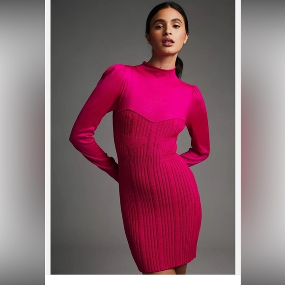 Anthropologie Dresses & Skirts - Anthropologie Turtleneck Sweater Dress Size SP NWT
